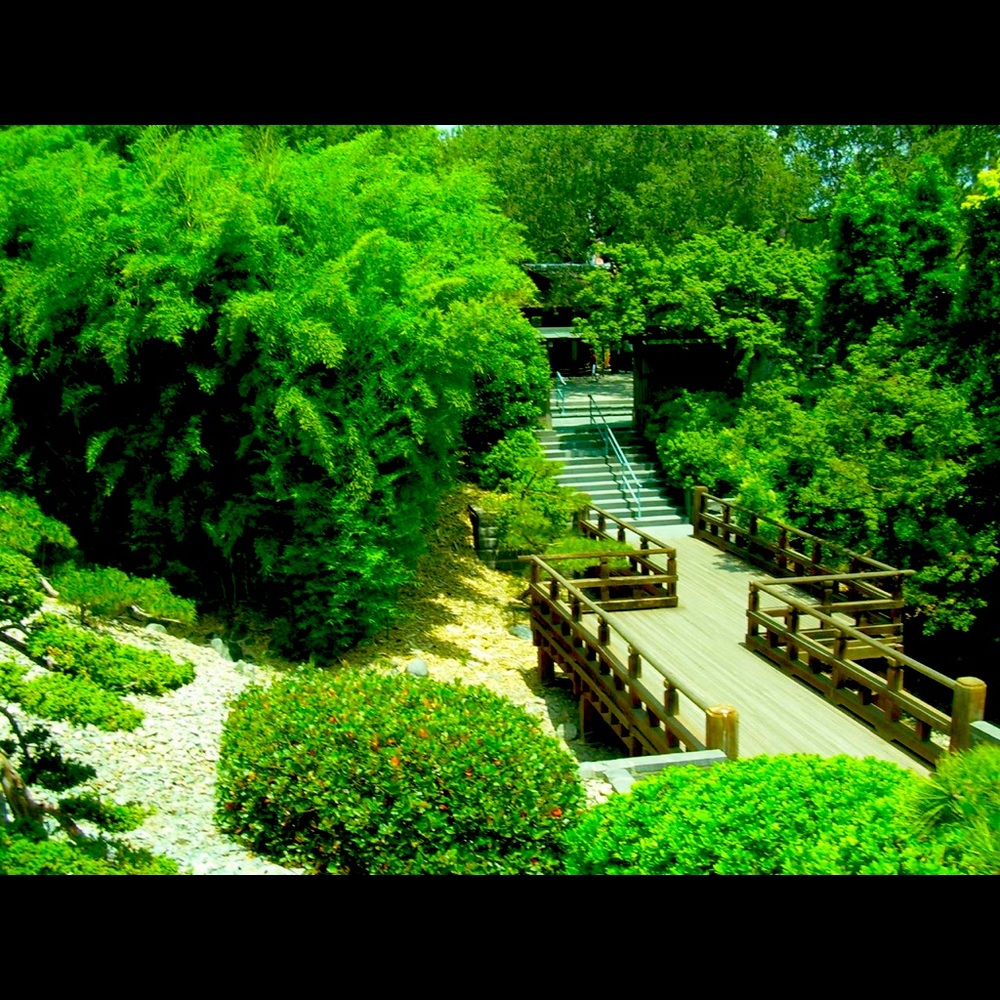 Meet your Posher, Teresa